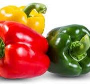 خضار وفواكه فلفل بارد فريش بالوزن